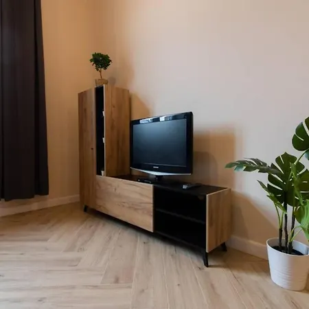 Comfy And Bright- Golden Apartments- Old Town